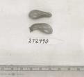 Click for 1 image(s) for this accession. FRUIT